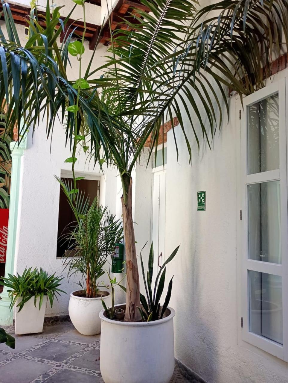 Casa Verde Hotel Santa Marta  Eksteriør bilde