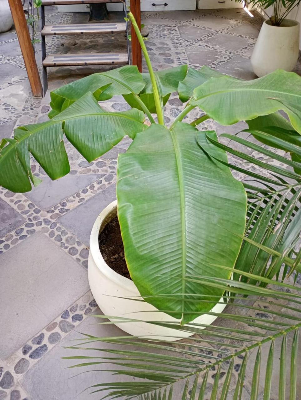 Casa Verde Hotel Santa Marta  Eksteriør bilde