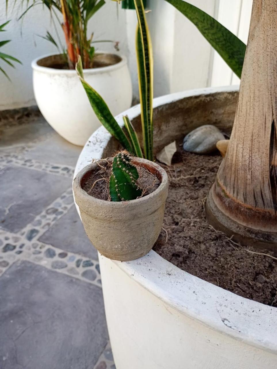 Casa Verde Hotel Santa Marta  Eksteriør bilde